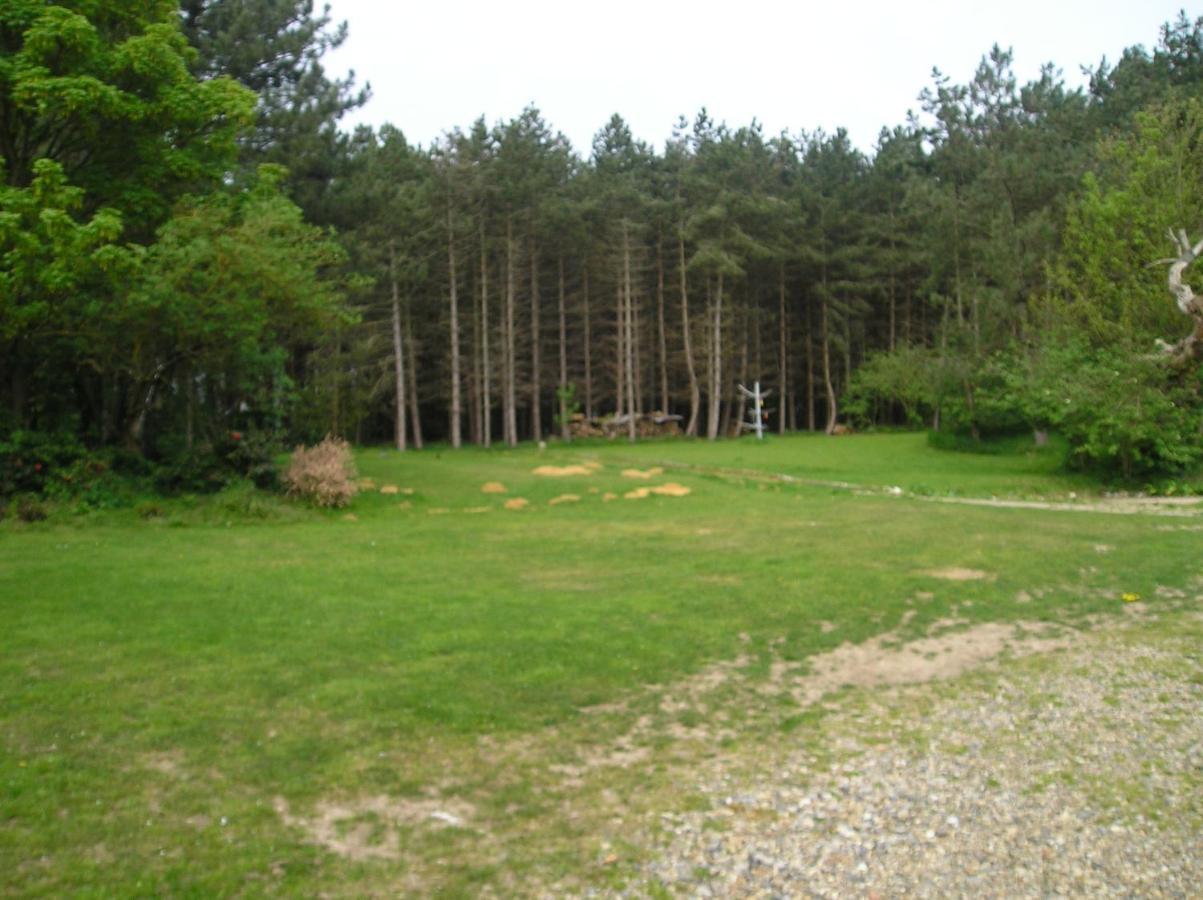 Felgate Cottage Thorpe Market Екстер'єр фото